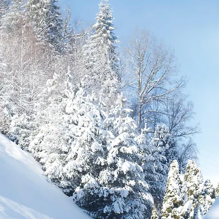 Apartment Alpine Retreat Urgen